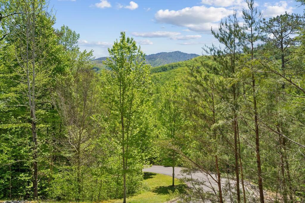 Baby Bear Den Villa Gatlinburg Luaran gambar
